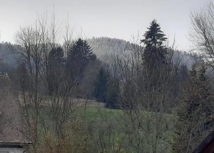 Ketterer Дом отдыха *